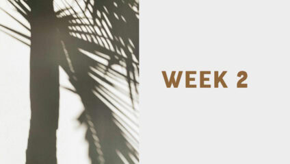 Link to the Be Free: Week 2